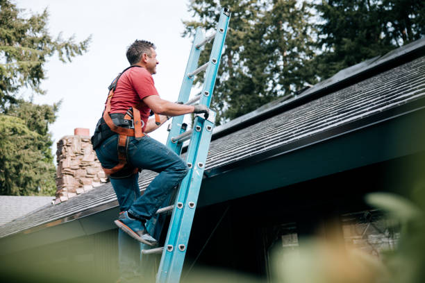 Best Storm Damage Roof Repair  in Shillington, PA